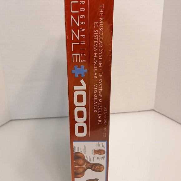 The Muscular System 1000 Piece Jigsaw Puzzle Eurographics New - Picture 5 of 7